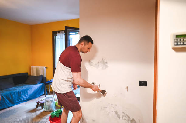 Best Home Mold Removal  in New Johnsonville, TN
